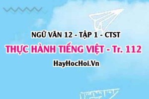 Soạn bài Thực hành tiếng Việt trang 112, 113 Ngữ văn 12 Chân trời sáng tạo